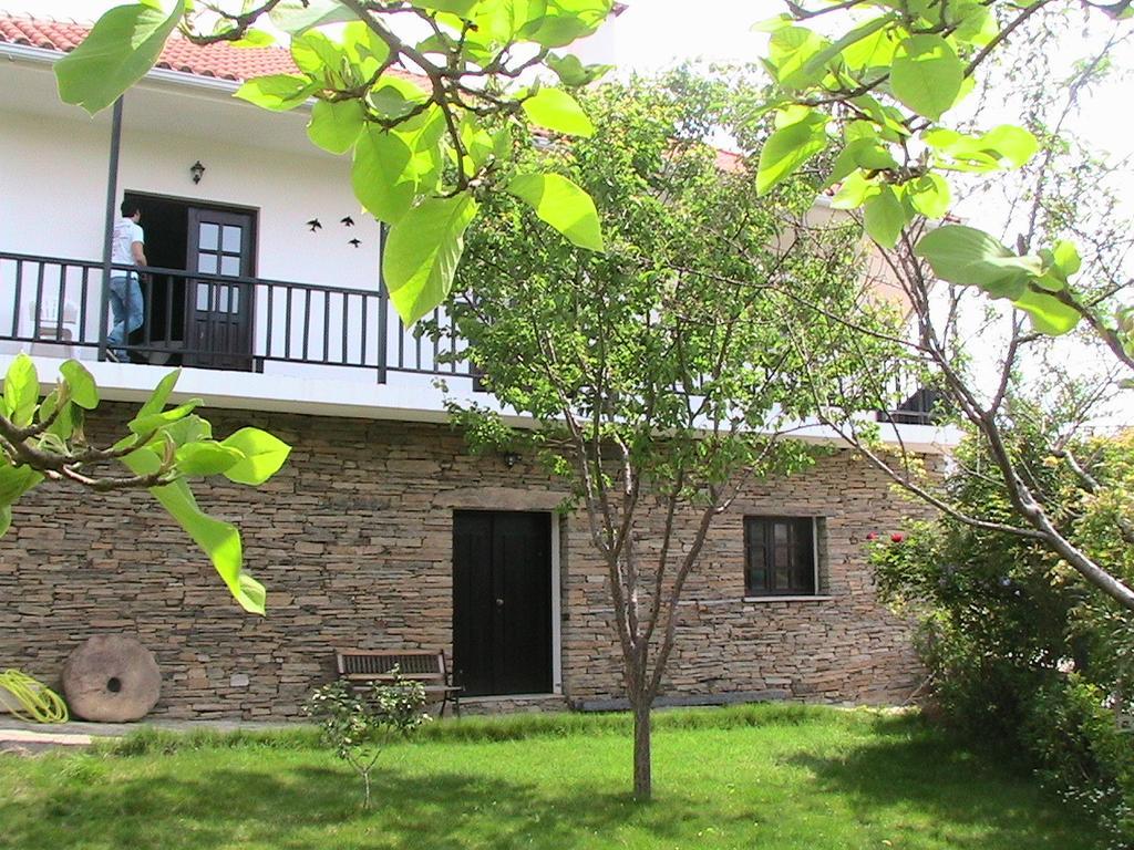Вилла Casa Oliveiras Do Douro Sobreira Экстерьер фото