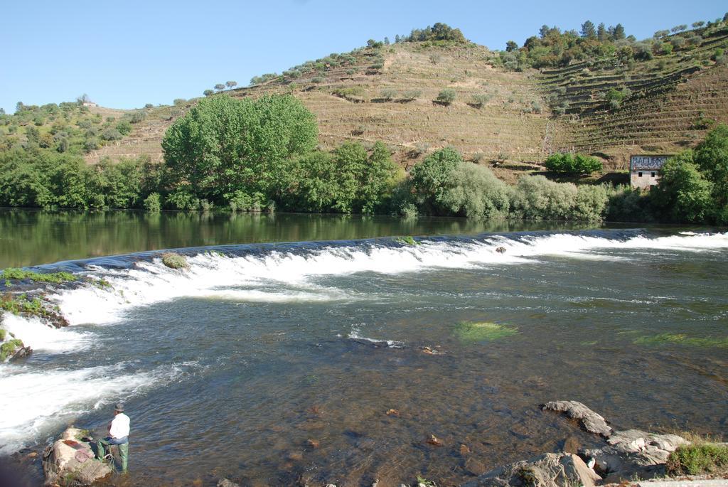 Вилла Casa Oliveiras Do Douro Sobreira Экстерьер фото