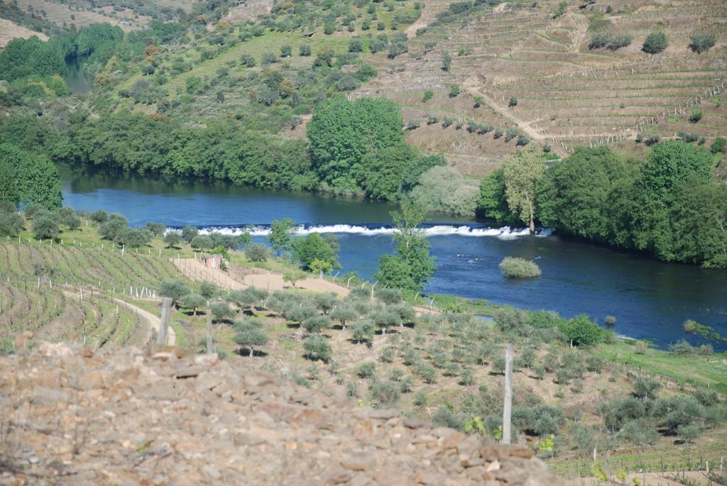 Вилла Casa Oliveiras Do Douro Sobreira Экстерьер фото